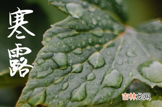 2023年寒露日是几月几日