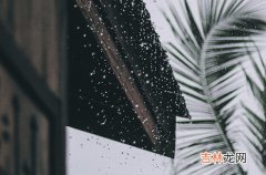 雨天天气幽默搞笑朋友圈文案80句