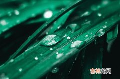 在夏季雨天适合发朋友圈的句子80句