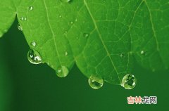 适合孤独雨夜伤感朋友圈文案80句