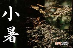 90句 小暑节气温馨祝福语短句