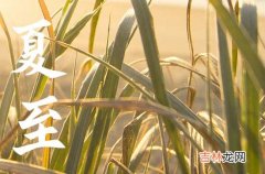 2023年夏至什么时候,今年夏至是几点钟