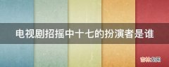 电视剧招摇中十七的扮演者是谁?