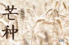 2023年芒种是几月几日 2023年芒种是哪一天