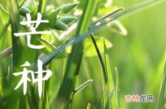 2023芒种是农历几月几日几时 2023芒种节气在什么时候