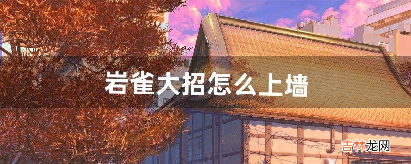岩雀大招怎么上墙(岩雀大招如何上去)