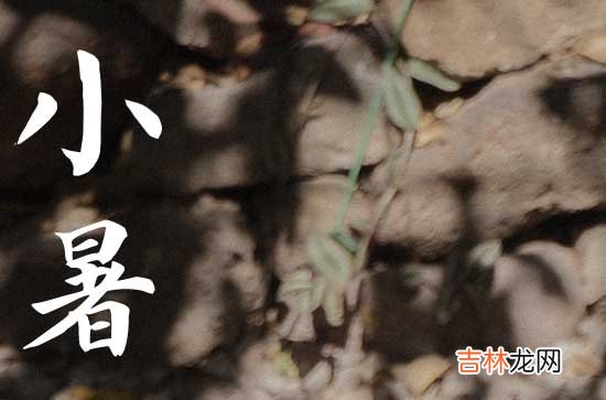 2023年暑伏天从什么时候开始 2023年暑伏天是什么时候结束