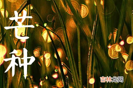 芒种节气的天气特点