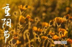 2023重阳节祝福语简短精辟60句