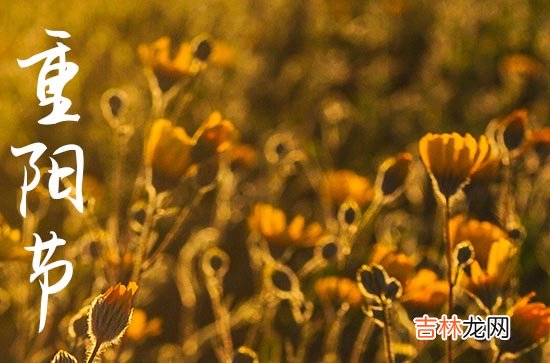 2023重阳节祝福语简短精辟60句