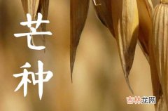 今年芒种是哪一天 2023年芒种是几月几日几点