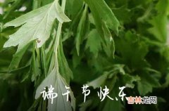 端午节发给顾客的文案