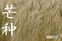 芒种传统习俗有哪些