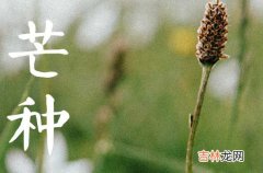 2023年芒种是农历的哪一天