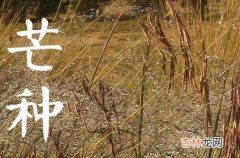 2023年芒种过后雨水会变多吗 芒种过后天气怎么样