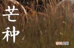 2023年芒种会下雨吗 芒种当天下雨有什么说法