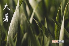 2023年大暑的祝福短信19句