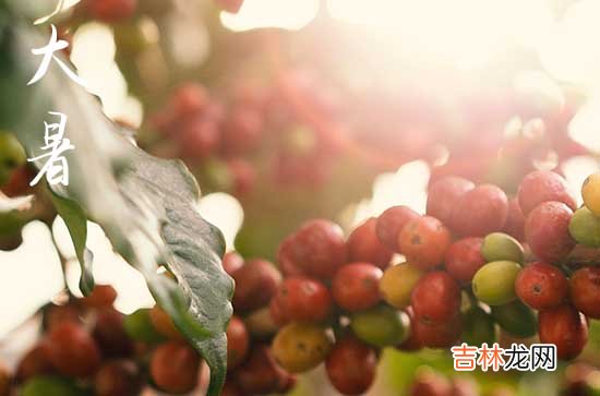 2023大暑节气的问候句子10条