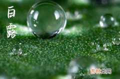 2023送个给家人朋友的白露节气祝福问候句子大全篇二