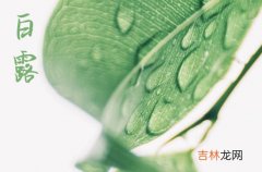 2023送个给家人朋友的白露节气祝福问候句子大全篇三