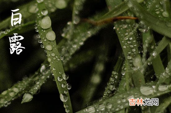 2023九月白露温馨文艺的秋天说说80句,白露秋天早安心