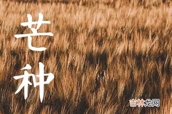 2023年农历四月十九芒种出生的女孩命运解析