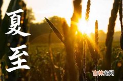 夏至为什么不能熬夜 夏至为什么要称体重