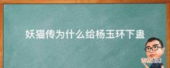 妖猫传为什么给杨玉环下蛊?