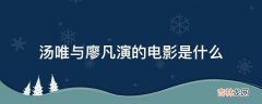 汤唯与廖凡演的电影是什么?