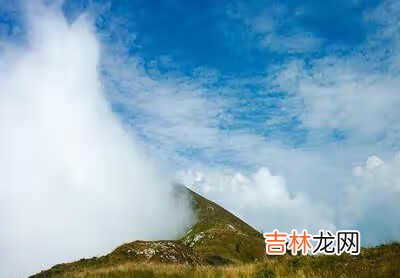 紫草油做法 紫草油怎么泡