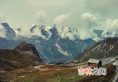 紫草油做法 紫草油怎么泡