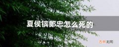 夏侯镔郎忠怎么死的（郎忠结局是什么)