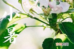 二十四节气2023年小暑时节祝福语短信怎么写