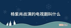 杨紫肖战演的电视剧叫什么?