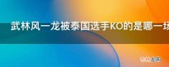 武林风一龙被泰国选手KO的是哪一场?