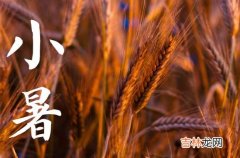 2023小暑问候祝福语大全