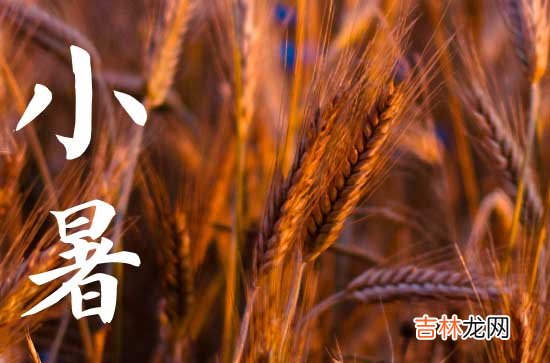 2023小暑问候祝福语大全