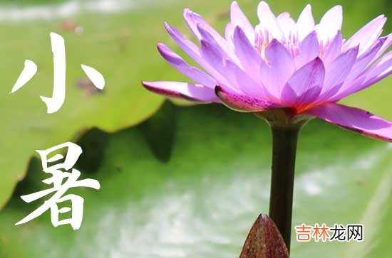 2023小暑节气祝福语20句