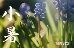 2023年小暑问候祝福语