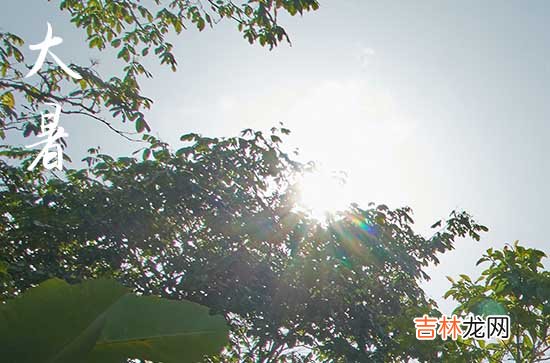 祝福语句子：2023大暑节气祝福语说说句子