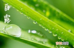 二十四节气2023年白露节气祝福语四篇