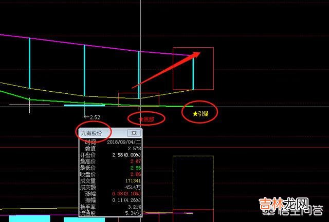 怎么买股票(买股票的操作流程)