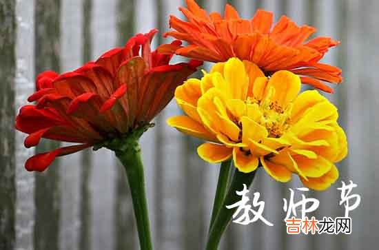 2023教师节赞扬教师的祝福语篇三