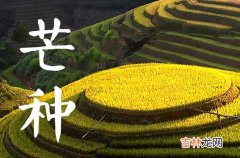 今年哪天芒种节气2023