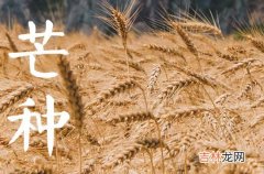 2023年芒种是几月几日,2023年芒种是几月几号