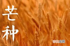 2023年的芒种是哪一天,2023年几月几日芒种