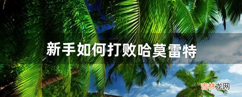 新手如何打败哈莫雷特（新手如何打哈姆雷特)