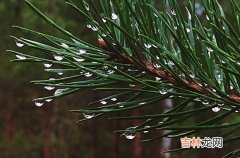 通用80句 经典下雨天气朋友圈文案