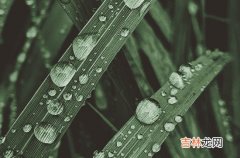 下雨天气发朋友圈经典文案80句