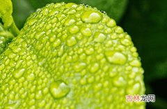 下雨天气适合发朋友圈的句子80句